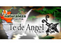 Te de Angel por Laboratorio Caxhuacan S.A.